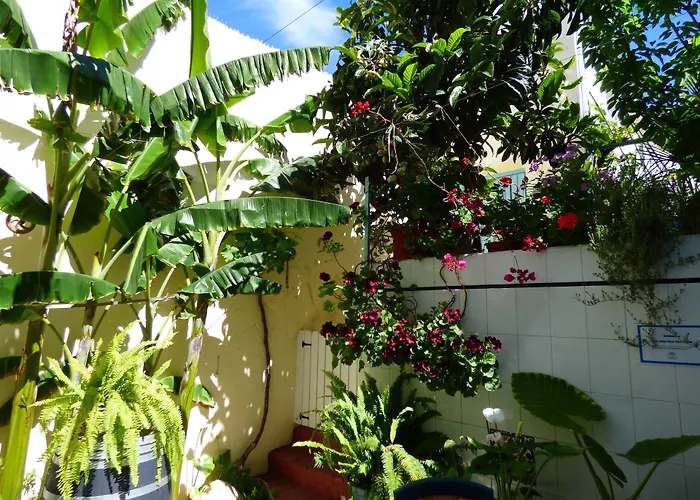 Hostal Campo Nuevo